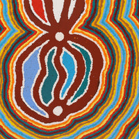 Aboriginal Artwork by Stephen Jakamarra Walker, Pirlarla Jukurrpa (Dogwood Tree Bean Dreaming), 76x46cm