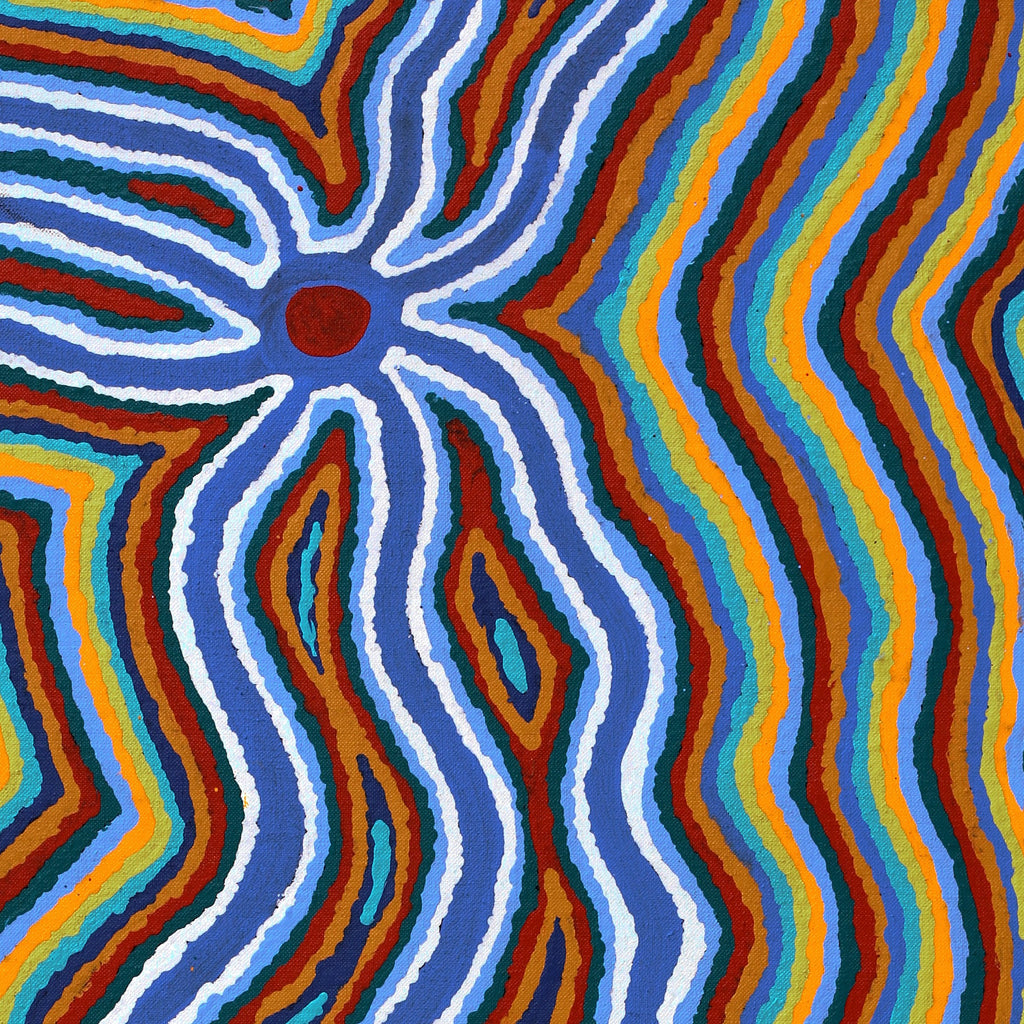 Aboriginal Artwork by Stephen Jakamarra Walker, Pirlarla Jukurrpa (Dogwood Tree Bean Dreaming), 76x46cm