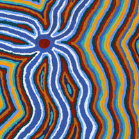 Aboriginal Artwork by Stephen Jakamarra Walker, Pirlarla Jukurrpa (Dogwood Tree Bean Dreaming), 76x46cm