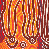 Aboriginal Artwork by Stephen Jakamarra Walker, Pirlarla Jukurrpa (Dogwood Tree Bean Dreaming), 91x61cm