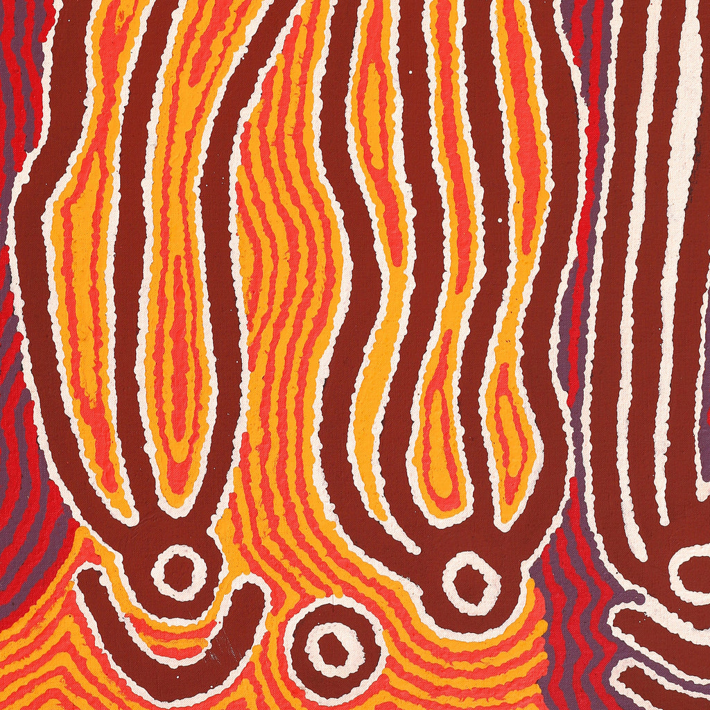 Aboriginal Artwork by Stephen Jakamarra Walker, Pirlarla Jukurrpa (Dogwood Tree Bean Dreaming), 91x61cm - ART ARK®