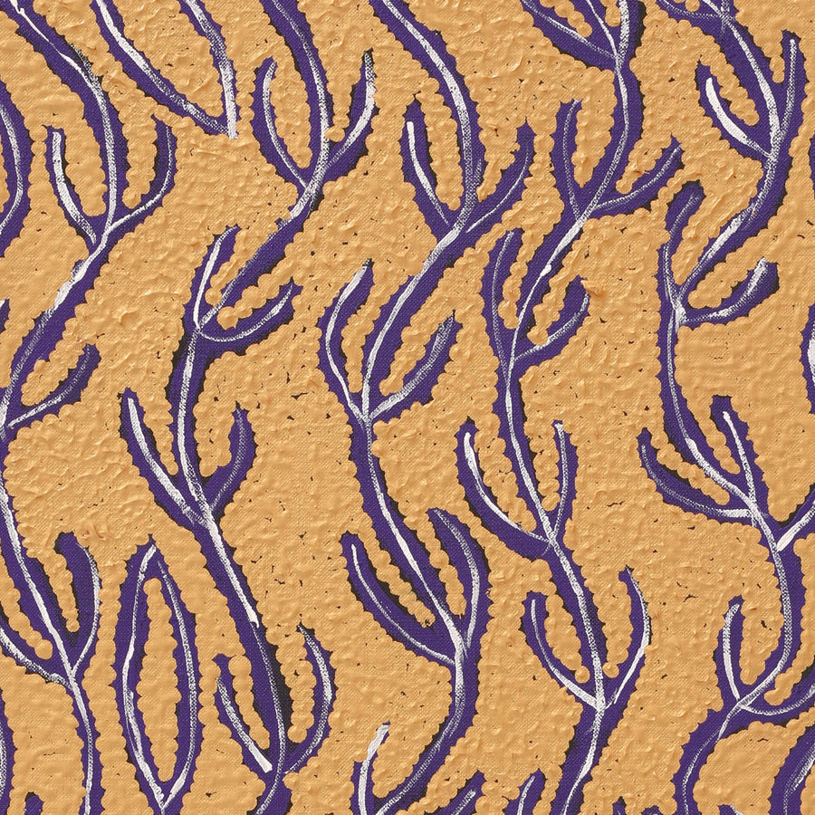 Aboriginal Artwork by Susie Nangala Watson, Mina Mina Dreaming, 76x30cm