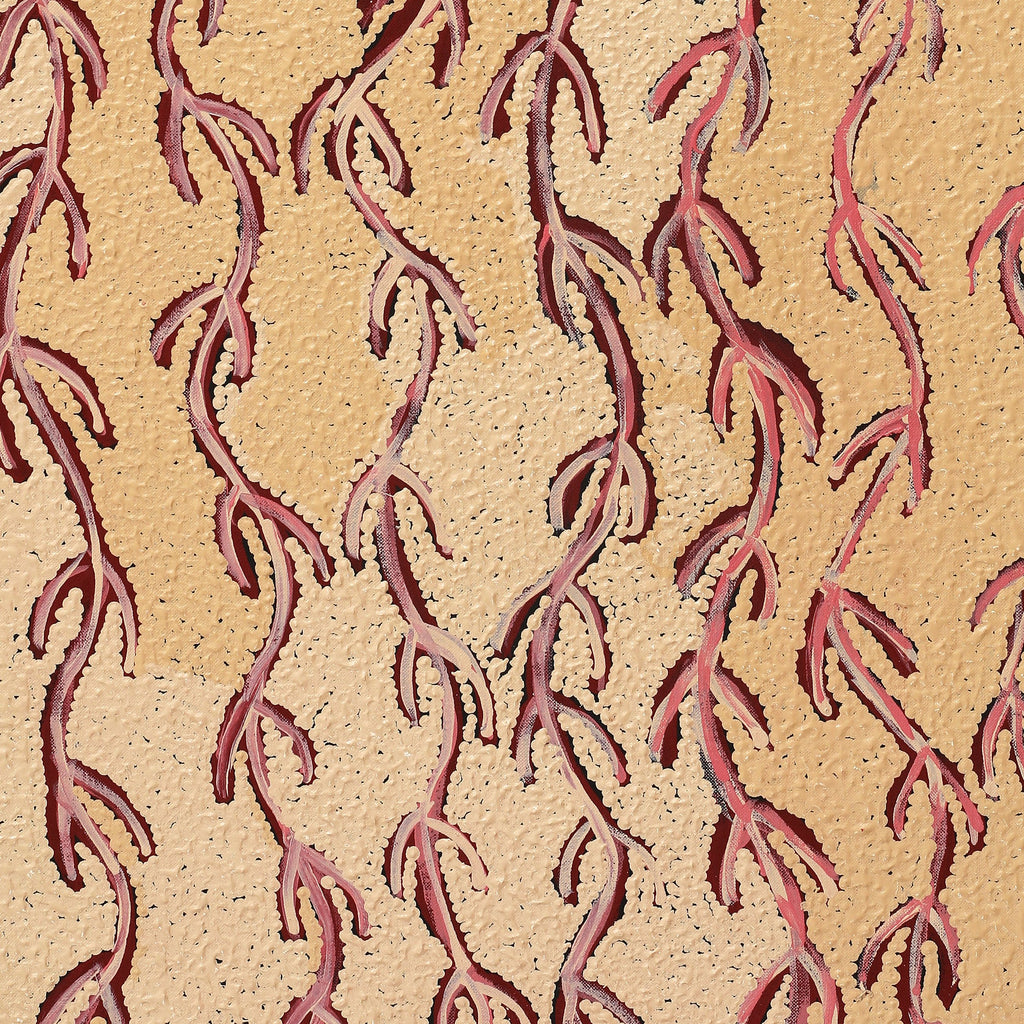 Aboriginal Artwork by Susie Nangala Watson, Mina Mina Dreaming, 91x46cm