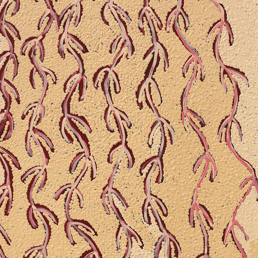 Aboriginal Artwork by Susie Nangala Watson, Mina Mina Dreaming, 91x46cm