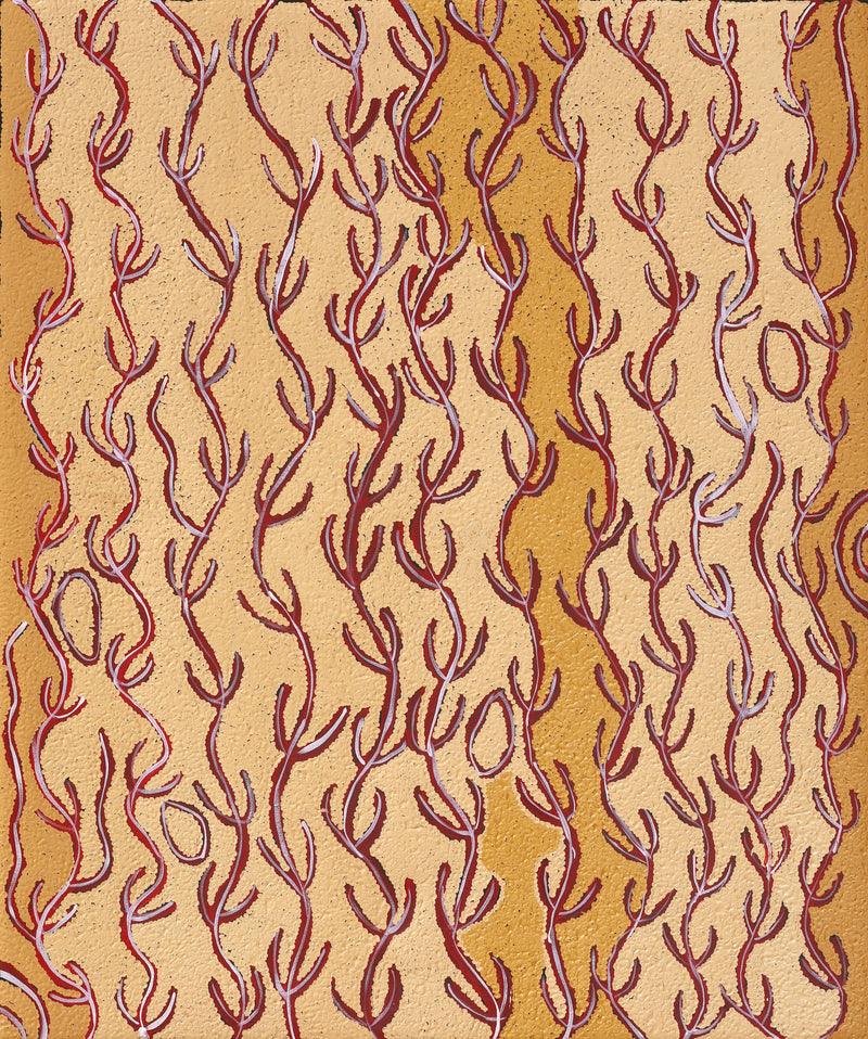 Aboriginal Artwork by Susie Nangala Watson, Mina Mina Dreaming, 91x76cm
