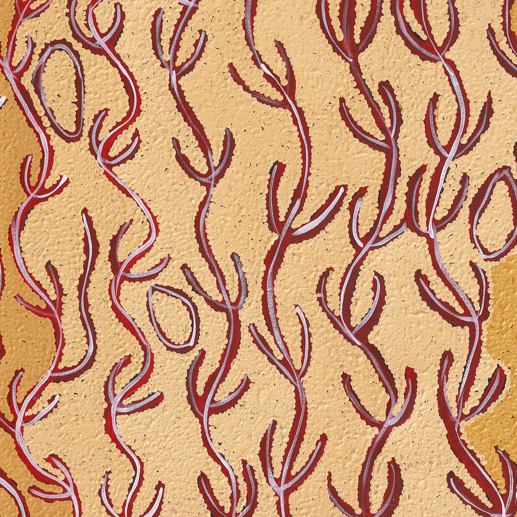 Aboriginal Artwork by Susie Nangala Watson, Mina Mina Dreaming, 91x76cm