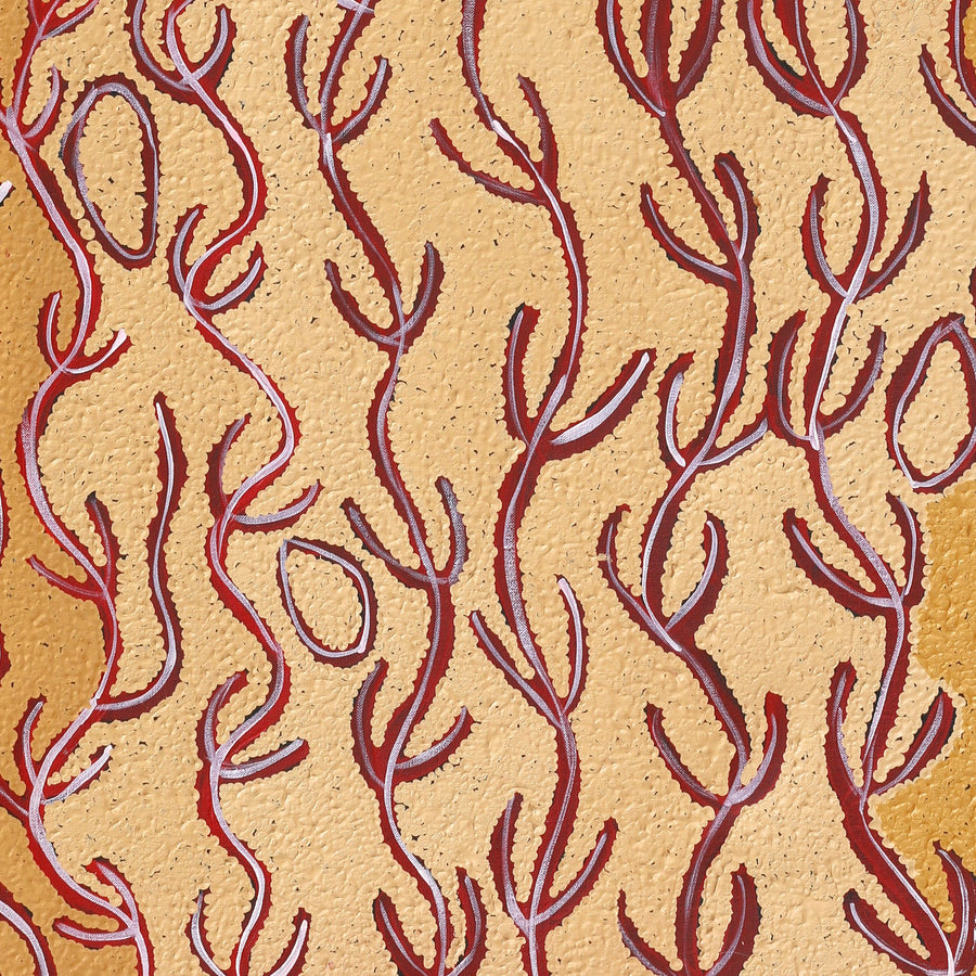 Aboriginal Artwork by Susie Nangala Watson, Mina Mina Dreaming, 91x76cm