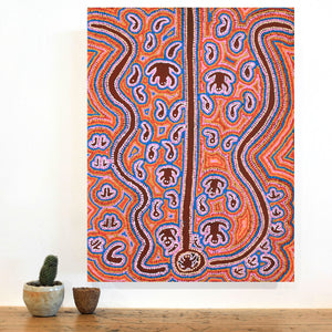 Aboriginal Artwork by Thomas Jangala Rice, Jarlji Jukurrpa (Frog Dreaming), 61x46cm - ART ARK®