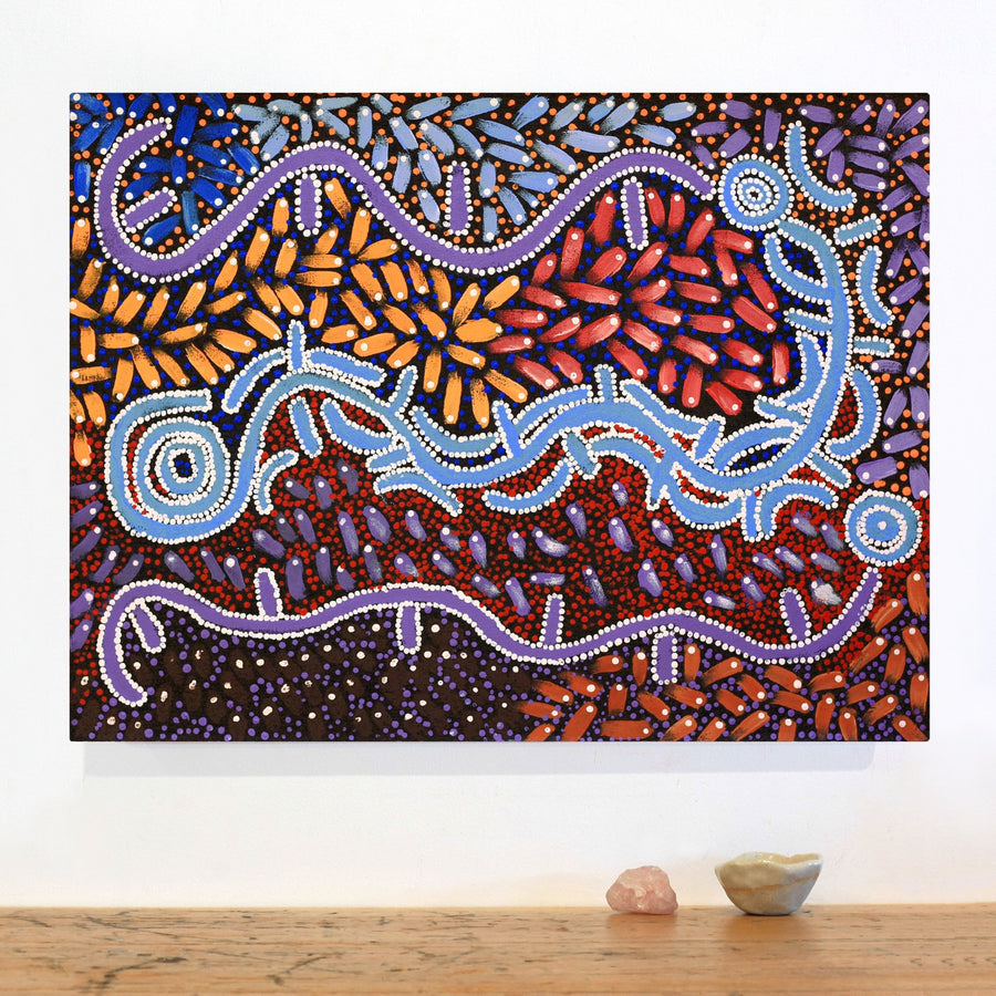 Aboriginal Artwork by Thomas Jangala Rice, Ngapa Jukurrpa (Water Dreaming) - Puyurru, 61x46cm
