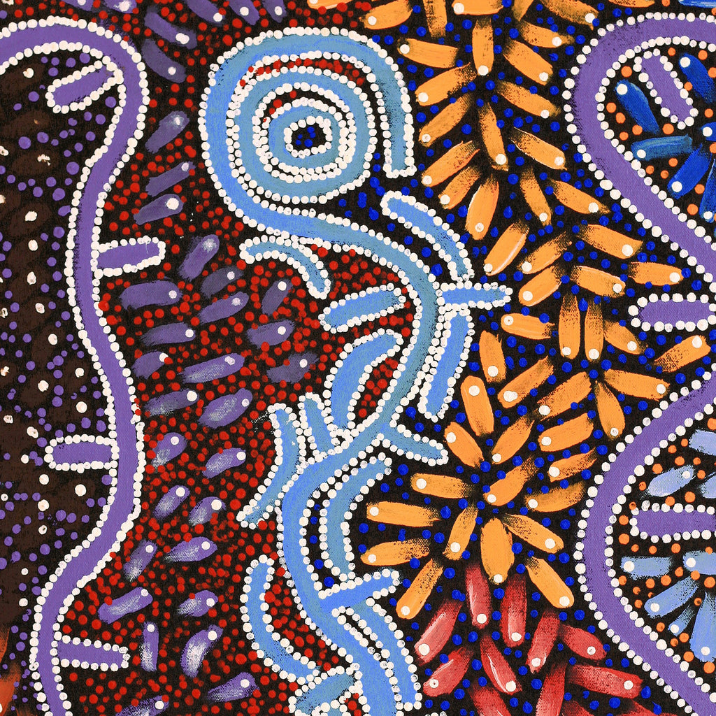 Aboriginal Artwork by Thomas Jangala Rice, Ngapa Jukurrpa (Water Dreaming) - Puyurru, 61x46cm