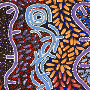 Aboriginal Artwork by Thomas Jangala Rice, Ngapa Jukurrpa (Water Dreaming) - Puyurru, 61x46cm - ART ARK®