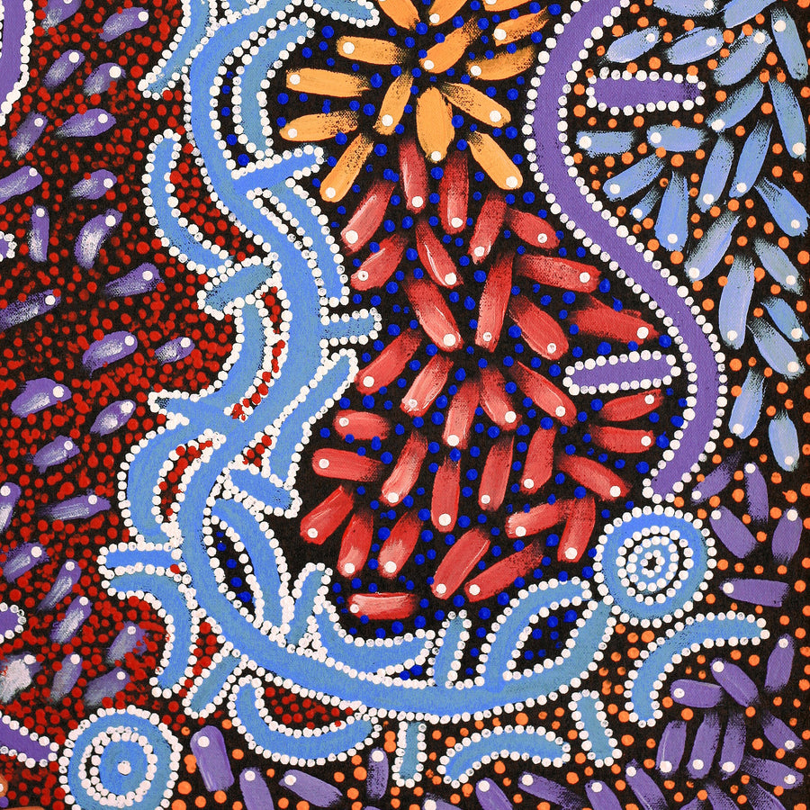 Aboriginal Artwork by Thomas Jangala Rice, Ngapa Jukurrpa (Water Dreaming) - Puyurru, 61x46cm
