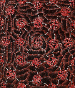 Aboriginal Artwork by Vanessa Nampijinpa Brown, Pamapardu Jukurrpa (Flying Ant Dreaming) - Warntungurru, 107x91cm - ART ARK®