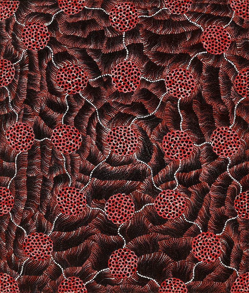 Aboriginal Artwork by Vanessa Nampijinpa Brown, Pamapardu Jukurrpa (Flying Ant Dreaming) - Warntungurru, 107x91cm