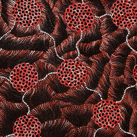 Aboriginal Artwork by Vanessa Nampijinpa Brown, Pamapardu Jukurrpa (Flying Ant Dreaming) - Warntungurru, 107x91cm