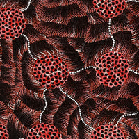 Aboriginal Artwork by Vanessa Nampijinpa Brown, Pamapardu Jukurrpa (Flying Ant Dreaming) - Warntungurru, 107x91cm