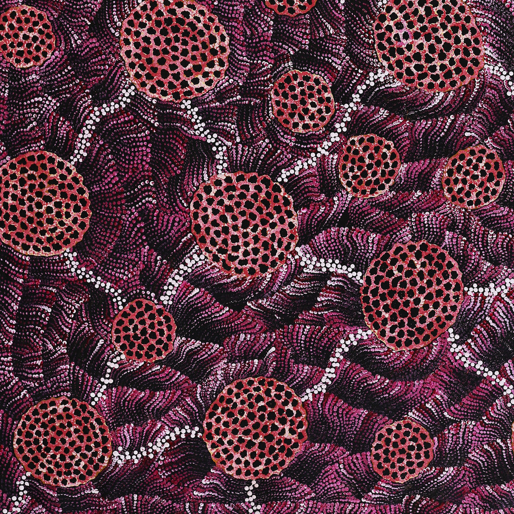 Aboriginal Art by Vanessa Nampijinpa Brown, Pamapardu Jukurrpa (Flying Ant Dreaming) - Warntungurru, 122x107cm - ART ARK®