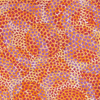 Aboriginal Artwork by Vanessa Nampijinpa Brown, Pamapardu Jukurrpa (Flying Ant Dreaming) - Warntungurru, 91x46cm
