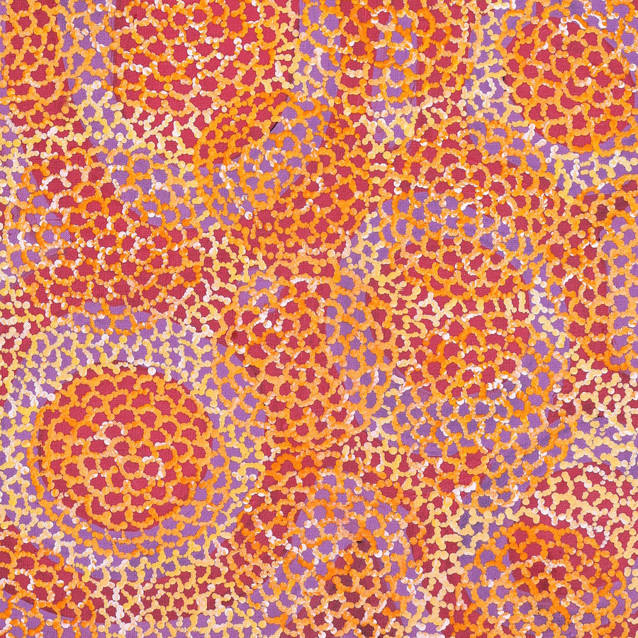 Aboriginal Artwork by Vanessa Nampijinpa Brown, Pamapardu Jukurrpa (Flying Ant Dreaming) - Warntungurru, 91x46cm