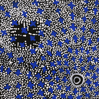 Aboriginal Artwork by Verona Nungarrayi Jurrah, Ngatijirri Jukurrpa (Budgerigar Dreaming), 30x30cm