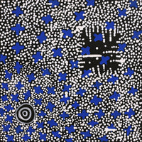 Aboriginal Artwork by Verona Nungarrayi Jurrah, Ngatijirri Jukurrpa (Budgerigar Dreaming), 30x30cm