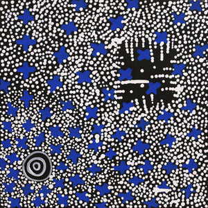 Aboriginal Artwork by Verona Nungarrayi Jurrah, Ngatijirri Jukurrpa (Budgerigar Dreaming), 30x30cm - ART ARK®