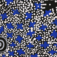 Aboriginal Artwork by Verona Nungarrayi Jurrah, Ngatijirri Jukurrpa (Budgerigar Dreaming), 30x30cm