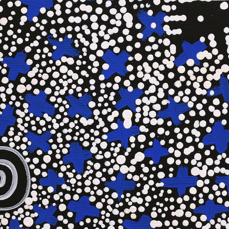 Aboriginal Artwork by Verona Nungarrayi Jurrah, Ngatijirri Jukurrpa (Budgerigar Dreaming), 30x30cm
