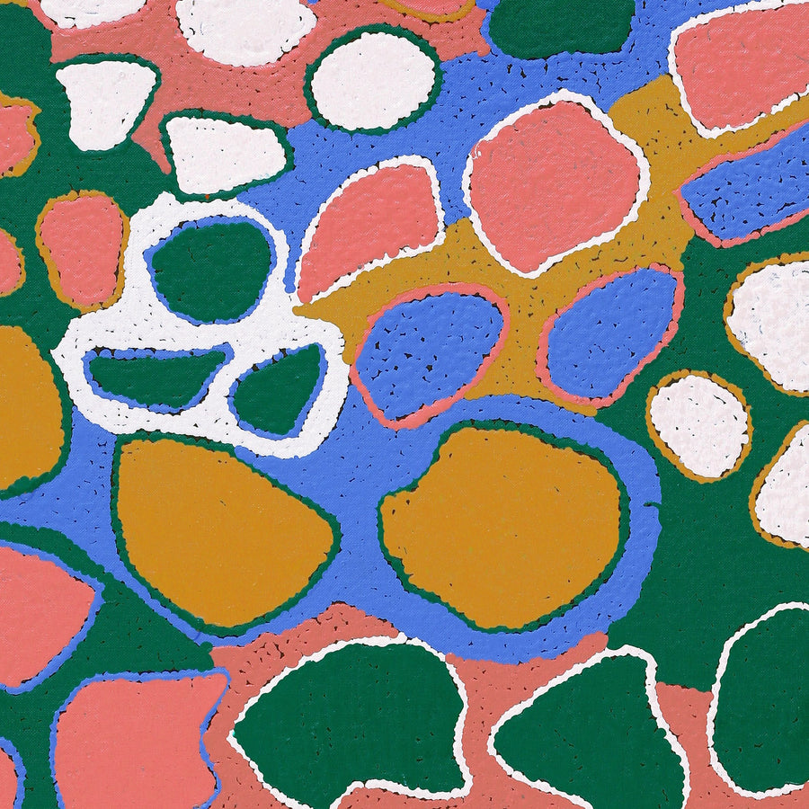 Aboriginal Artwork by Virginia Napaljarri Sims, Mina Mina Jukurrpa (Mina Mina Dreaming) - Ngalyipi, 107x46cm