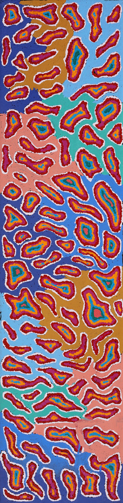 Aboriginal Artwork by Virginia Napaljarri Sims, Mina Mina Jukurrpa (Mina Mina Dreaming) - Ngalyipi, 122x30cm