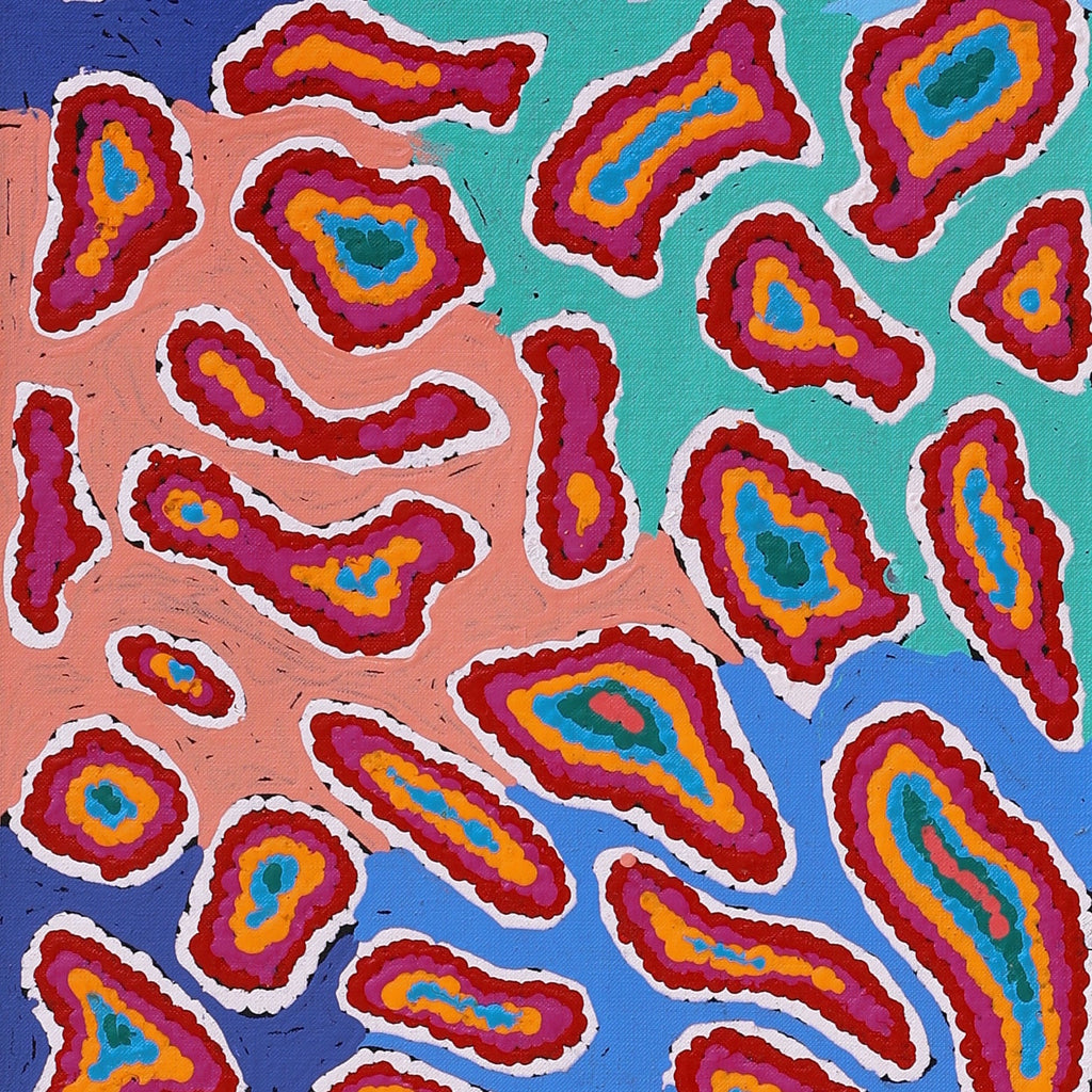 Aboriginal Artwork by Virginia Napaljarri Sims, Mina Mina Jukurrpa (Mina Mina Dreaming) - Ngalyipi, 122x30cm
