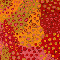 Aboriginal Artwork by Virginia Napaljarri Sims, Mina Mina Jukurrpa (Mina Mina Dreaming) - Ngalyipi, 61x46cm