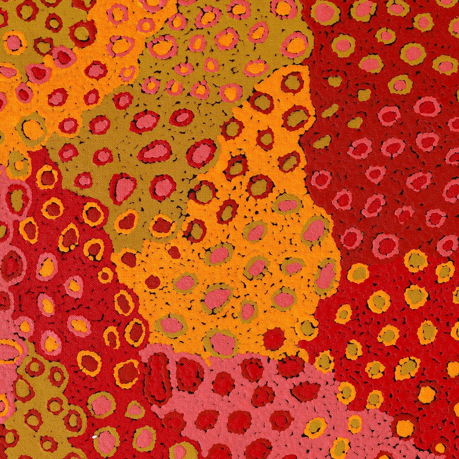 Aboriginal Artwork by Virginia Napaljarri Sims, Mina Mina Jukurrpa (Mina Mina Dreaming) - Ngalyipi, 61x46cm