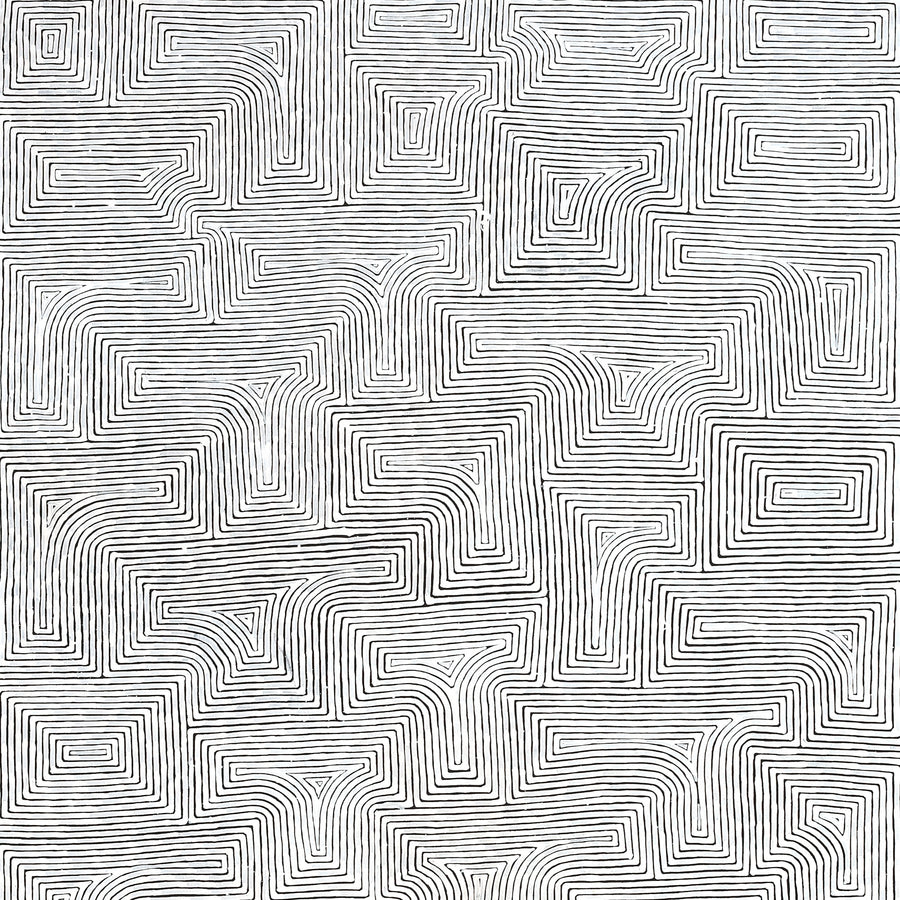 Aboriginal Artwork by Walter Jangala Brown, Tingari Cycle, 240x122cm