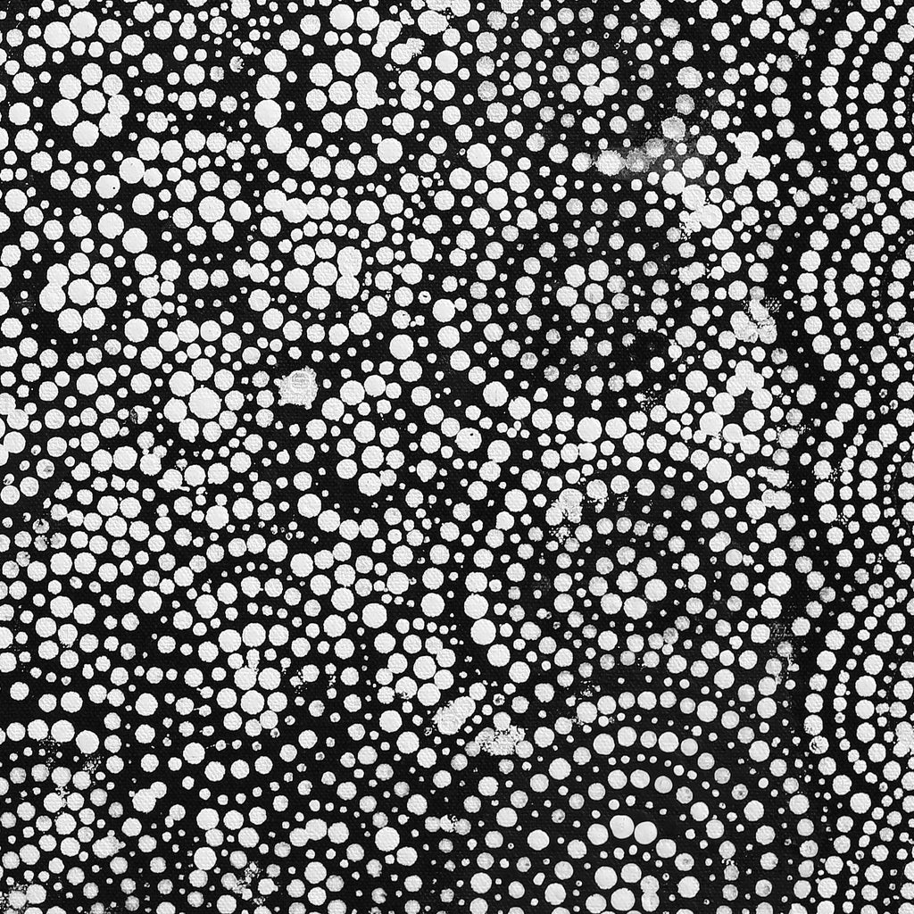 Aboriginal Artwork by Wilma Napangardi Poulson, Pikilyi Jukurrpa (Vaughan Springs Dreaming), 46x46cm