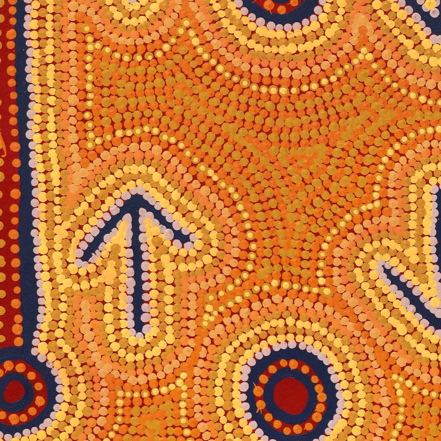 Aboriginal Artwork by Zenaida Nampijinpa Gallagher, Yankirri Jukurrpa (Emu Dreaming) - Ngarlikurlangu, 61x46cm