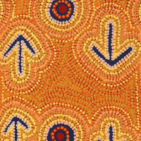 Aboriginal Artwork by Zenaida Nampijinpa Gallagher, Yankirri Jukurrpa (Emu Dreaming) - Ngarlikurlangu, 61x46cm