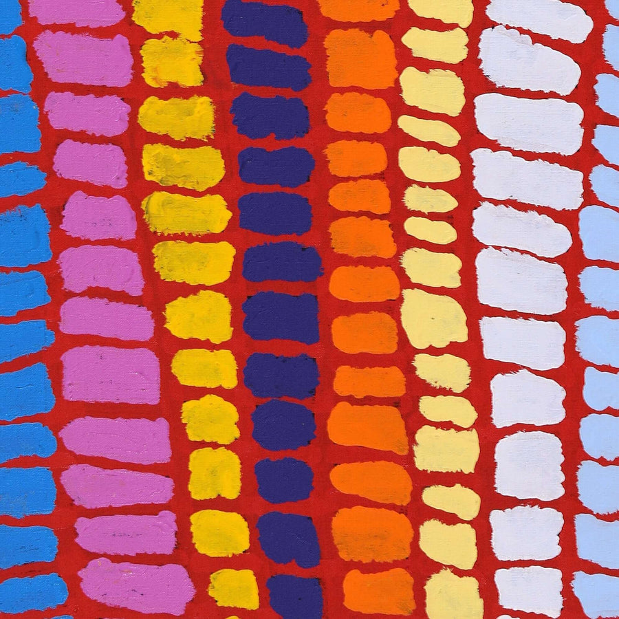 Aboriginal Artwork by Alice Nampitjinpa Dixon, Pura - Bush berries, 137x76cm