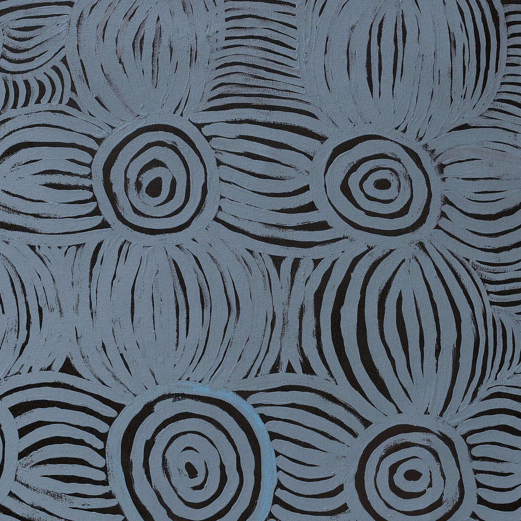Aboriginal Artwork by Alison Watson, Walka Wiru Ngura Wiru, 91x61cm