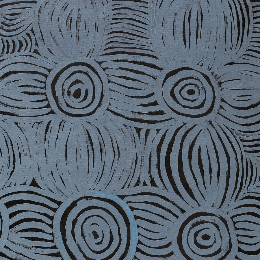 Aboriginal Artwork by Alison Watson, Walka Wiru Ngura Wiru, 91x61cm