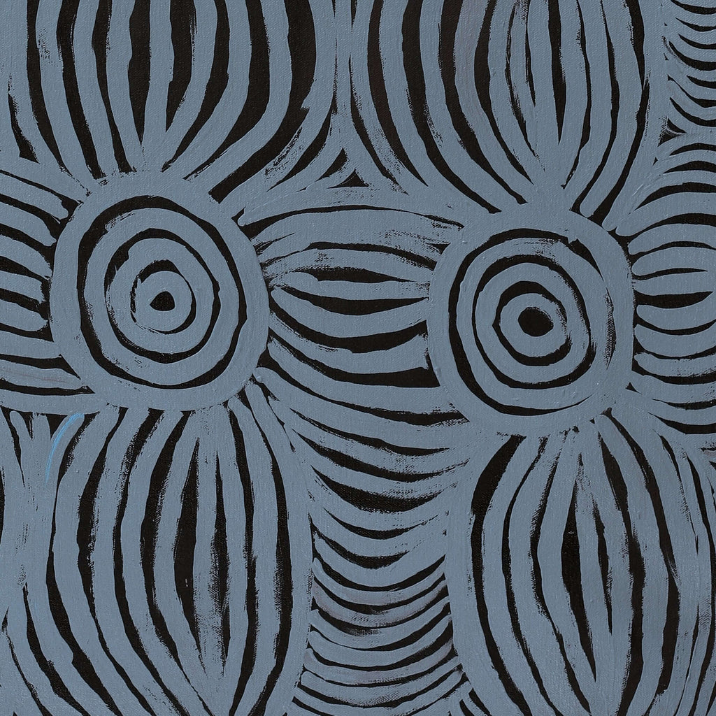 Aboriginal Artwork by Alison Watson, Walka Wiru Ngura Wiru, 91x61cm