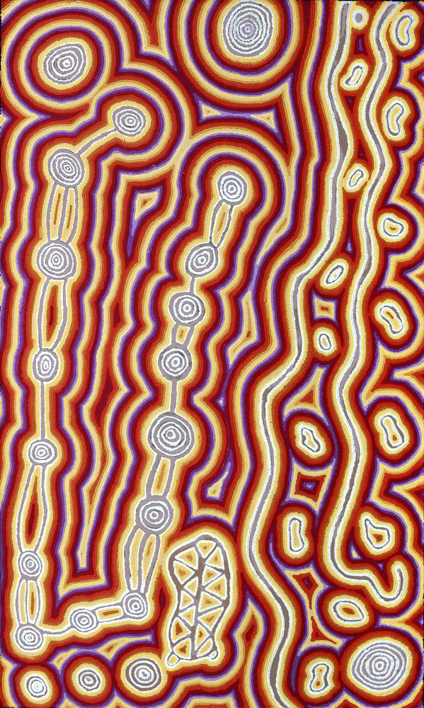 Aboriginal Artwork by Amanda Nakamarra Curtis, Lappi Lappi Dreaming, 152x91cm
