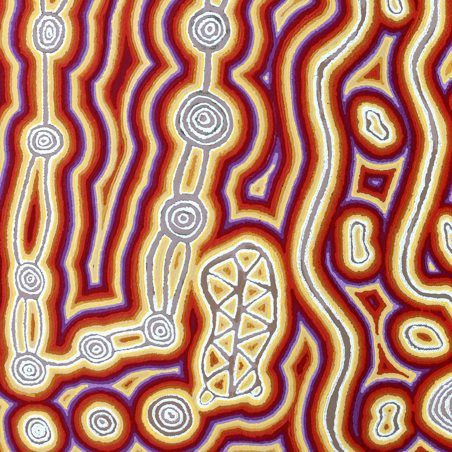 Aboriginal Artwork by Amanda Nakamarra Curtis, Lappi Lappi Dreaming, 152x91cm