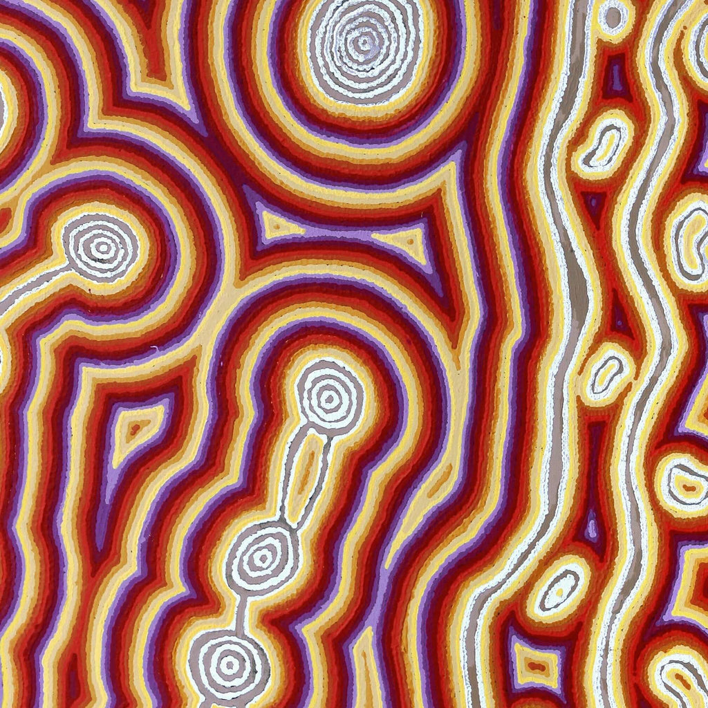 Aboriginal Artwork by Amanda Nakamarra Curtis, Lappi Lappi Dreaming, 152x91cm