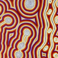 Aboriginal Artwork by Amanda Nakamarra Curtis, Lappi Lappi Dreaming, 152x91cm