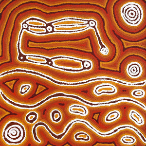 Aboriginal Art by Amanda Nakamarra Curtis, Lappi Lappi Dreaming, 46x46cm - ART ARK®