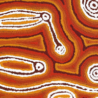 Aboriginal Artwork by Amanda Nakamarra Curtis, Lappi Lappi Dreaming, 46x46cm