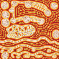 Aboriginal Artwork by Amanda Nakamarra Curtis, Lappi Lappi Dreaming, 76x76cm