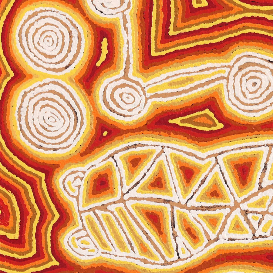 Aboriginal Artwork by Amanda Nakamarra Curtis, Lappi Lappi Dreaming, 76x76cm
