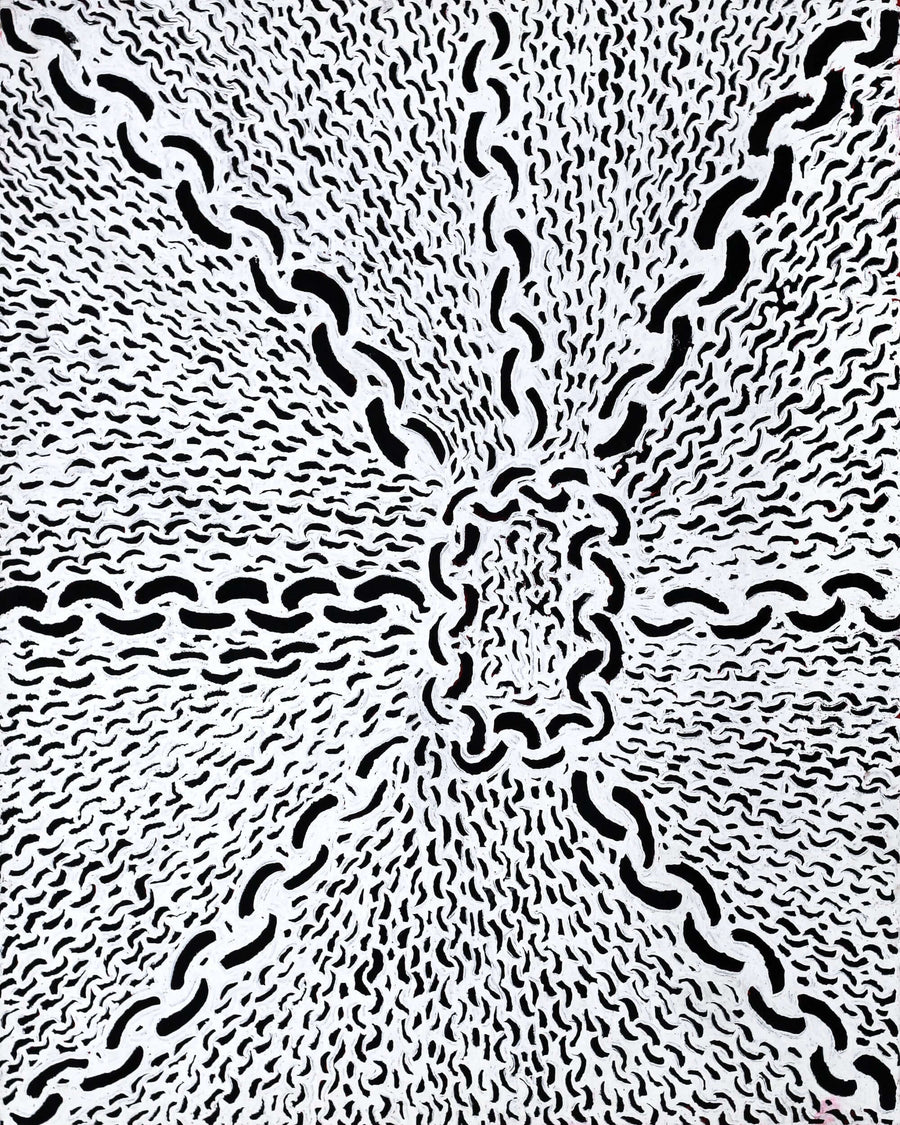 Aboriginal Artwork by Andrea Nungarrayi Wilson, Lukarrara Jukurrpa, 76x61cm